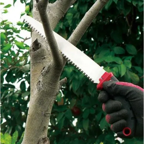 ΧΕΙΡΟΠΡΙΟΝΟ ARS SG-24 24cm (24cm / 0.9mm / Με Θήκη)
