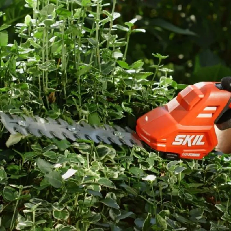 ΨΑΛΙΔΑ ΘΑΜΝΩΝ & ΧΛΟΗΣ SKIL 0630CA (20V) 