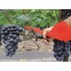ΔΕΤΙΚΟ ΨΑΛΙΔΙ ΑΜΠΕΛΙΟΥ ΧΕΙΡΟΣ BENMAN / 420gr