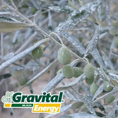 ΛΙΠΑΣΜΑ Gravital Energy (SiO2:92%) 9kg (Βιοδιεγέρτης Πυριτίου, Λευκό επίχρισμα στη επιφάνεια | Στάδιο:Καρπίδιο + Ωρίμανση)