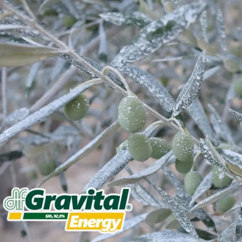 ΛΙΠΑΣΜΑ Gravital Energy (SiO2:92%) 9kg (Βιοδιεγέρτης Πυριτίου, Λευκό επίχρισμα στη επιφάνεια | Στάδιο:Καρπίδιο + Ωρίμανση)
