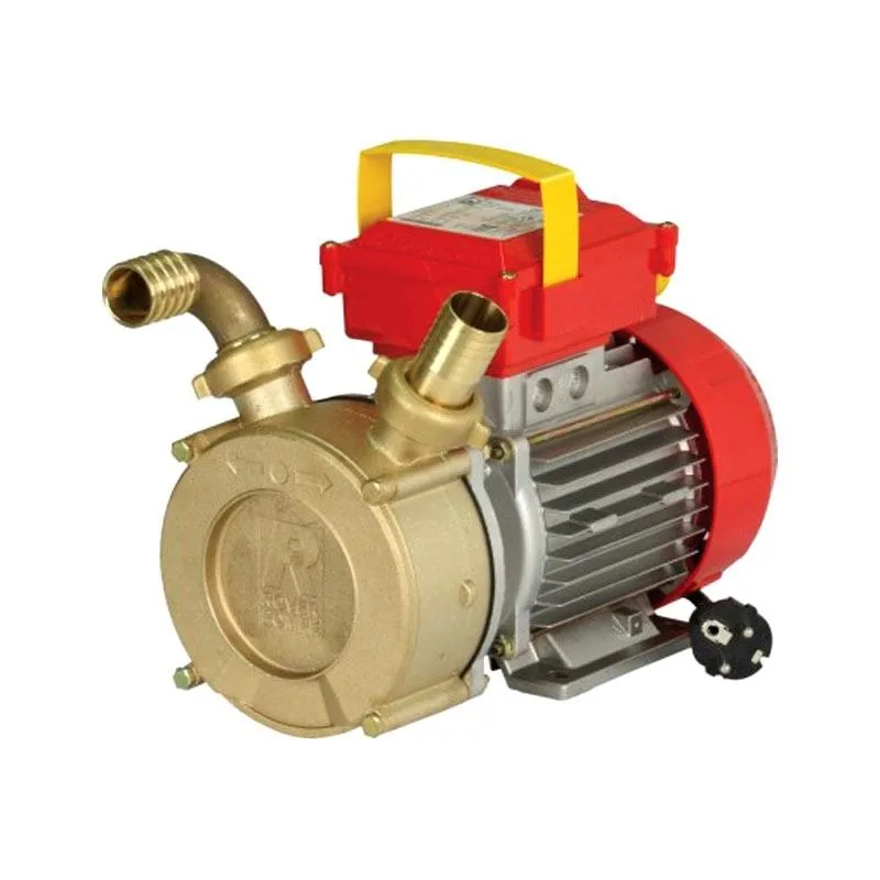 ΗΛΕΚΤΡΑΝΤΛΙΑ ΜΕΤΑΓΓΗΣΗΣ ROVER BEM 25 TURBO (0.6hp/220V | 1400rpm | Φ25