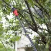 ΚΟΝΤΑΡΟΠΡΙΟΝΟ LG KM06260 (Αυτόματη Λίπανση / 1.8m-2.7m / 2.95kg) (2 ΜΠΑΤΑΡΙΑ 21V 5.2Ah & ΦΟΡΤΙΣΤΗ)
