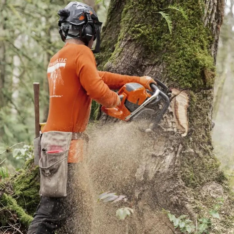 ΑΛΥΣΟΠΡΙΟΝΟ HUSQVARNA 592XP® Autotune (7.4kg) 93cc 7.5hp – 60cm Λάμα X-Tough Light