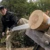 ΧΕΙΡΟΠΡΙΟΝΟ SILKY Katana Boy 500-5 (50cm / Extra Large Teeth:5 Δόντια στα 30mm / Σουγιάς)
