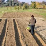 ΣΚΑΠΤΙΚΟ GRILLO 11500 (ΠΕΤΡΕΛΑΙΟΥ / KOHLER 15LD350 7.5hp / 112cm)
