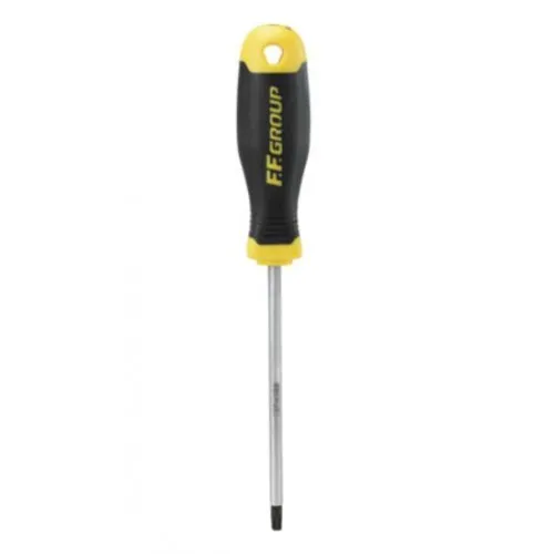 ΚΑΤΣΑΒΙΔΙ FF-Group TORX ΤΧ T20x100mm