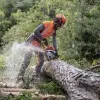 ΑΛΥΣΟΠΡΙΟΝΟ HUSQVARNA 550XP® Mark II Autotune (5.3kg) 50cc 4.0hp – 45cm Λάμα