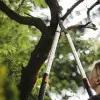ΨΑΛΙΔΑ ΚΛΑΔΟΥ FISKARS L86 (Φ50mm / 1.3kg - ByPass, SmartFit)