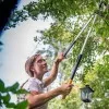 ΨΑΛΙΔΑ ΚΛΑΔΟΥ FISKARS L86 (Φ50mm / 1.3kg - ByPass, SmartFit)
