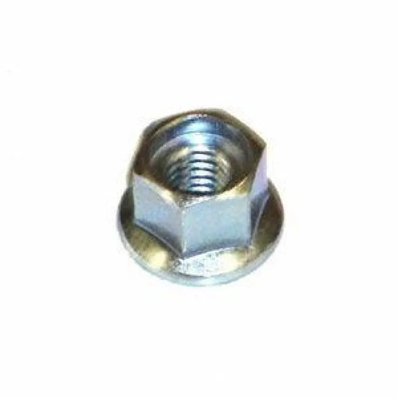 ΠΑΞΙΜΑΔΙ ΛΑΜΑΣ ECHO (M6x10mm) (R) (433019-03933)