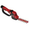 ΚΙΤ ΚΟΠΗΣ ΓΚΑΖΟΝ ΜΠΑΤΑΡΙΑΣ BLUEBIRD GC 22-10 (+2 ΜΠΑΤΑΡΙΕΣ 12,6V(MAX) - 2,5AHR & ΦΟΡΤΙΣΤΗ)