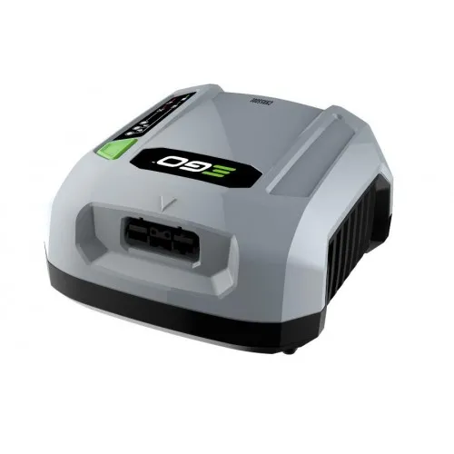 ΦΟΡΤΙΣΤΗΣ EgoPower+ CHX5500E 