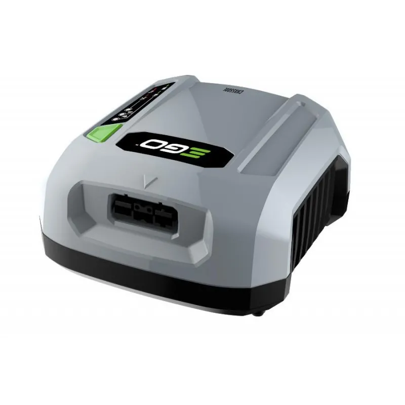 ΦΟΡΤΙΣΤΗΣ EgoPower+ CHX5500E 