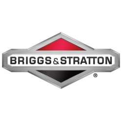 Για Briggs - Stratton