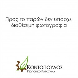 Καντότα (λευκό)