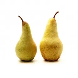 Αχλαδιά