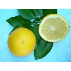 Μαρς Σήντλες (Marsh Seedless)
