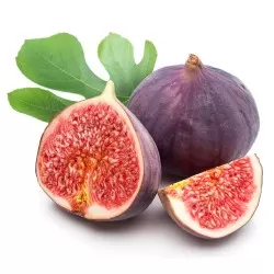 Συκιά
