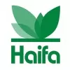 Haifa