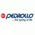 Pedrollo